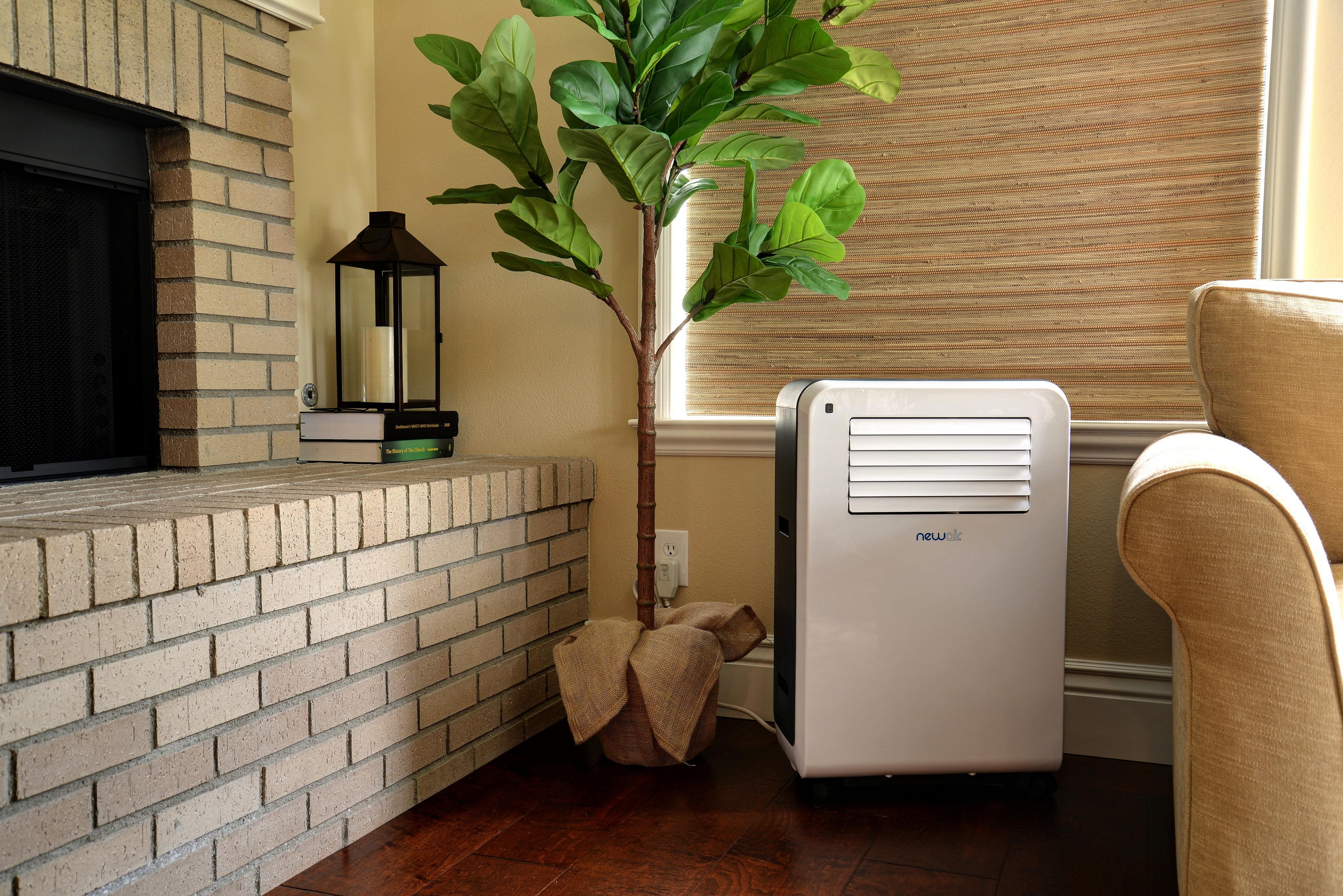 NewAir Ac12200E Portable Air Conditioner Home & Kitchen