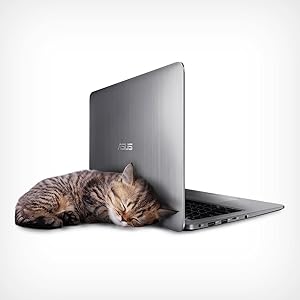 Amazon.com: ASUS VivoBook E403SA-US21