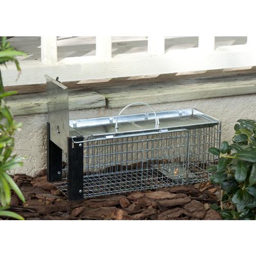 Havahart 0745 OneDoor Animal Trap for Chipmunk, Squirrel, Rat, and Weasel, XSmall