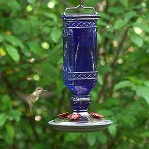 Amazon Com Perky Pet 8117 2 Cobalt Blue Antique Bottle