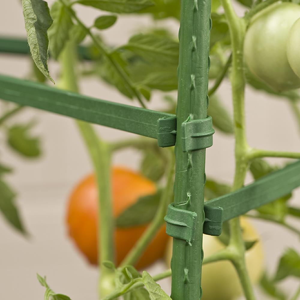 Gardener's Blue Ribbon SA12 Ultomato Stake