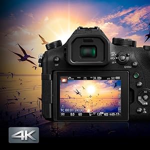 LUMIX FZ2500 Pro 4K Video