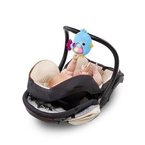 bright starts sunny safari baby's play place