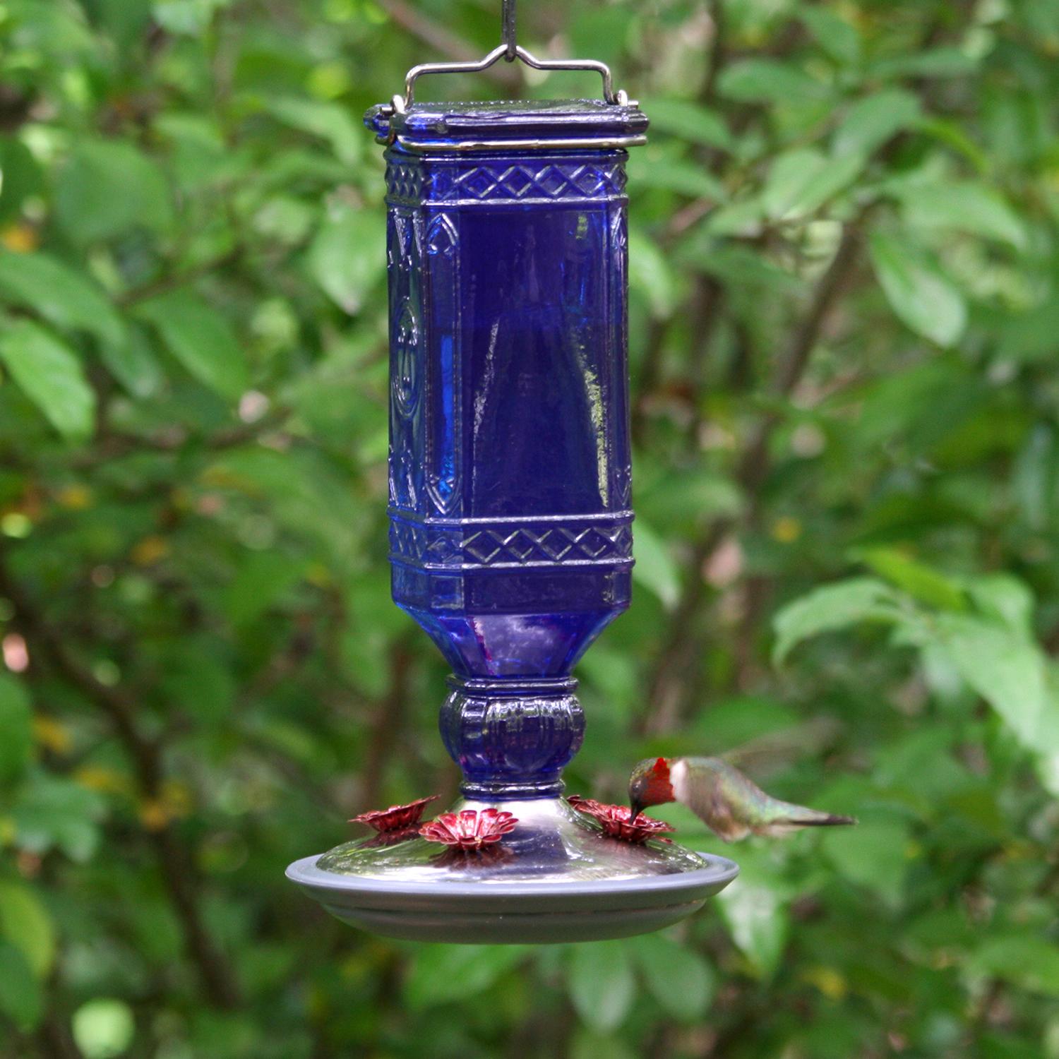 PerkyPet 81172 Cobalt Blue Antique Bottle Hummingbird