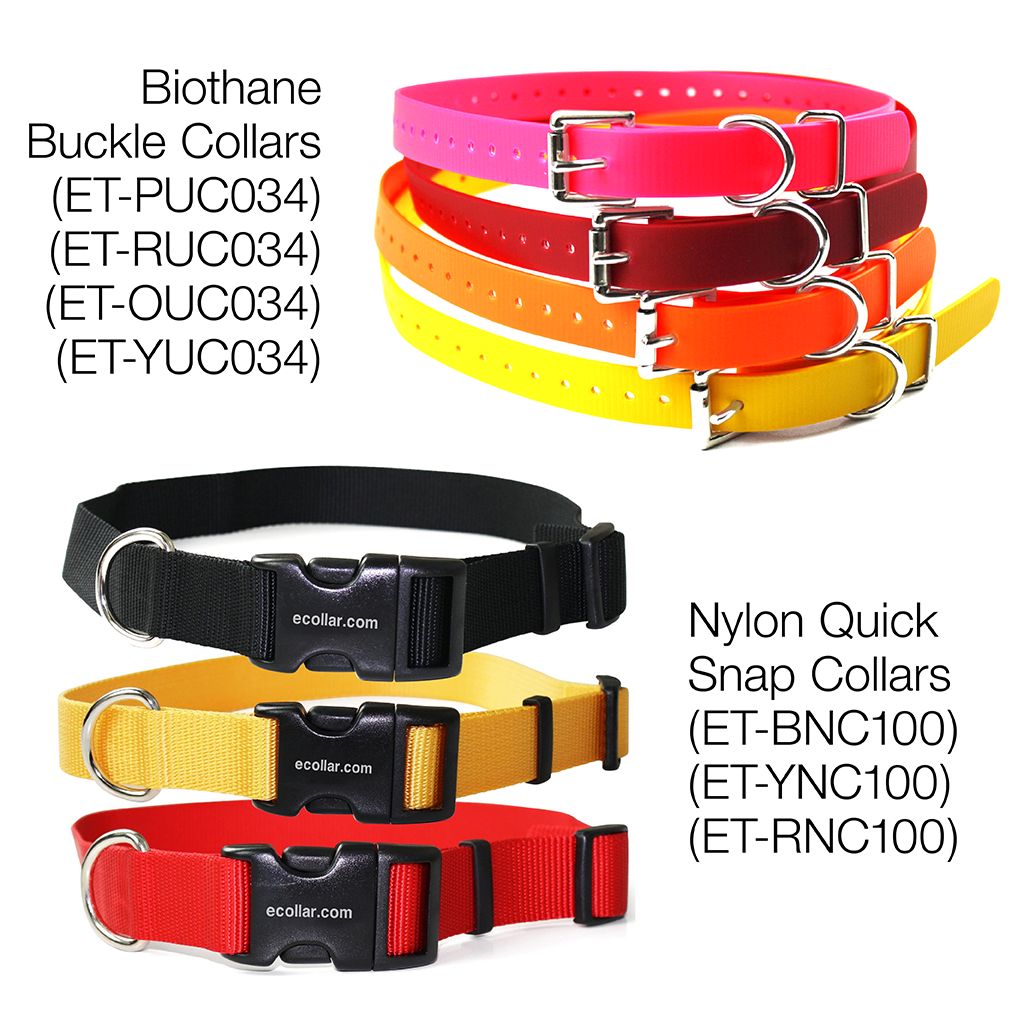 Educator Pager Only 1/2 mile 1 Dog System Remote Training