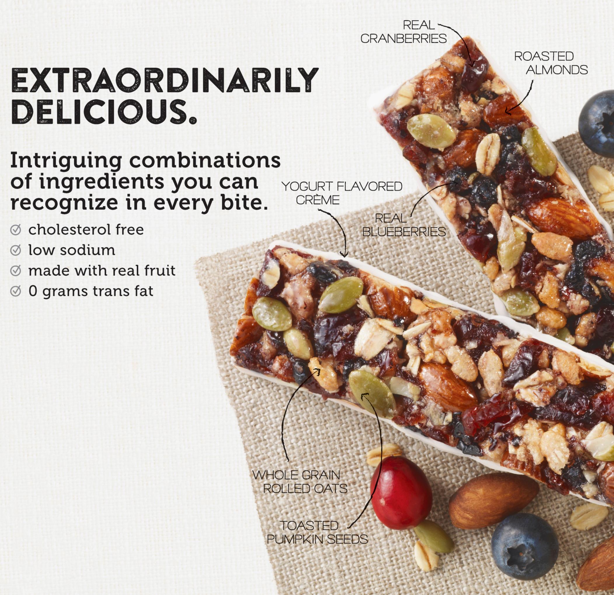 BROOKSIDE Yogurt Fruit & Nut Bars, Vanilla Fig Flavor, 1.4 Ounce (Pack