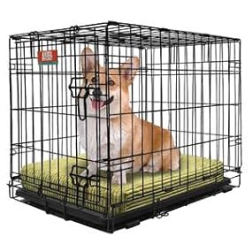 pet planet dog crates