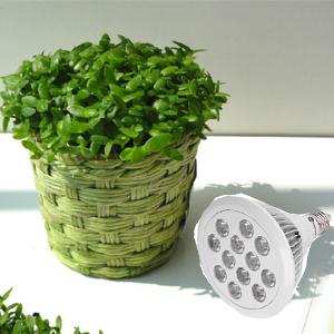 led plant,grow light, led grow, greenhouse light,garden greenhouse, e27 led grow light,