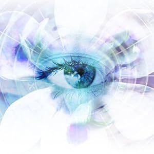 Amazon.com : Amcrest Blue Iris Professional Version 4