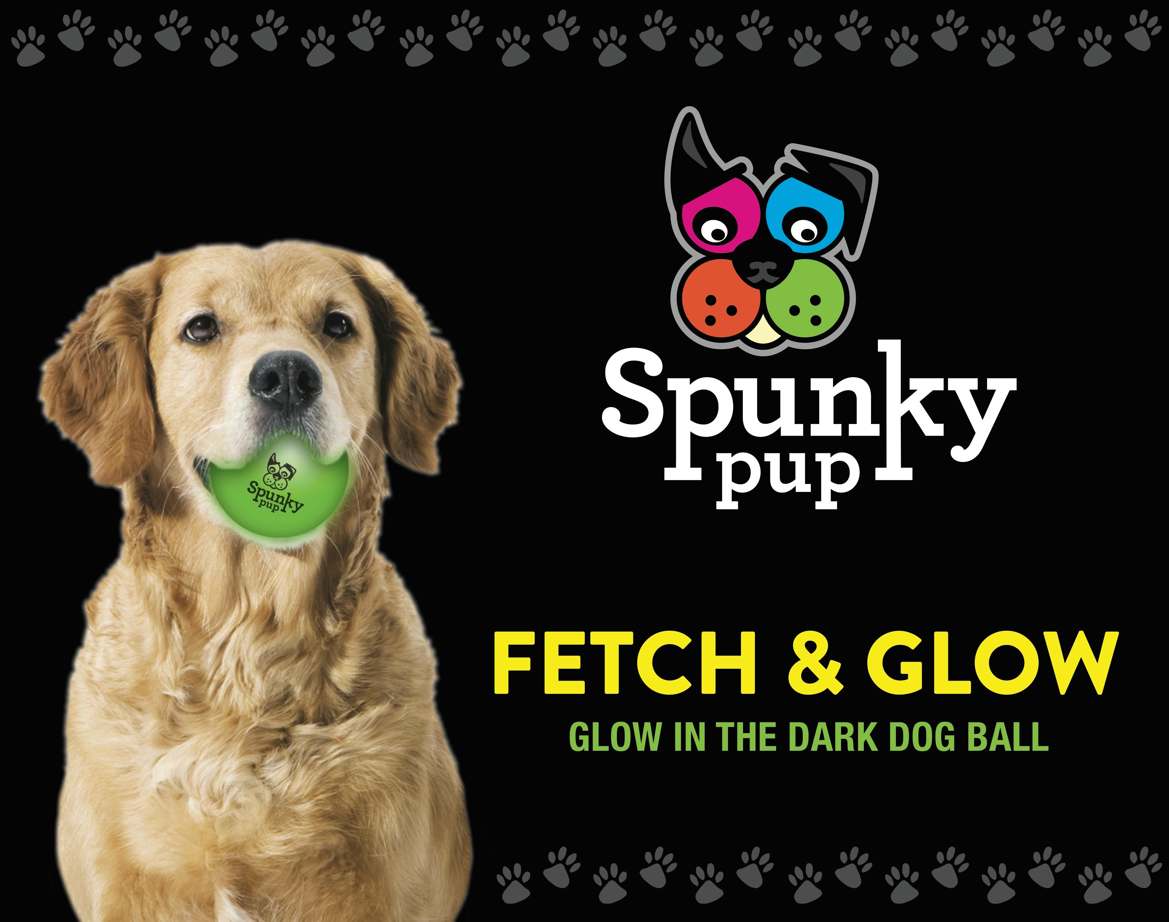 Spunky Pup Fetch and Glow Ball, Small, 2Pack (Assorted