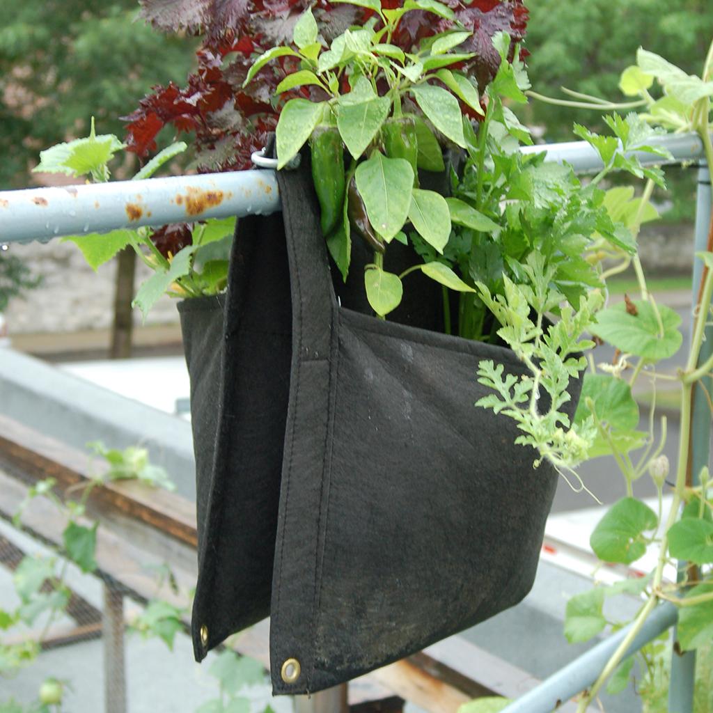 Smart Pots Wall Flower Saddle Planter Hanging Planters