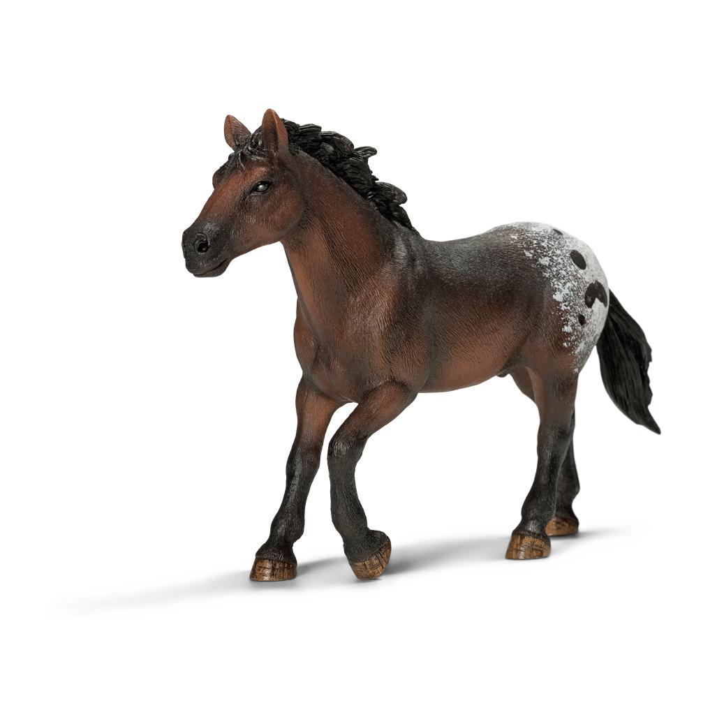 Amazon.com: Schleich Appaloosa Stallion Toy Figure: Schleich: Toys & Games