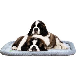godog bubble bolster