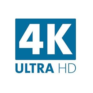 Enables 4K Resolution