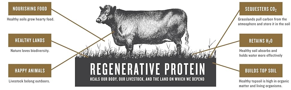 Regenerative Protein