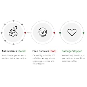 Rich in Antioxidants