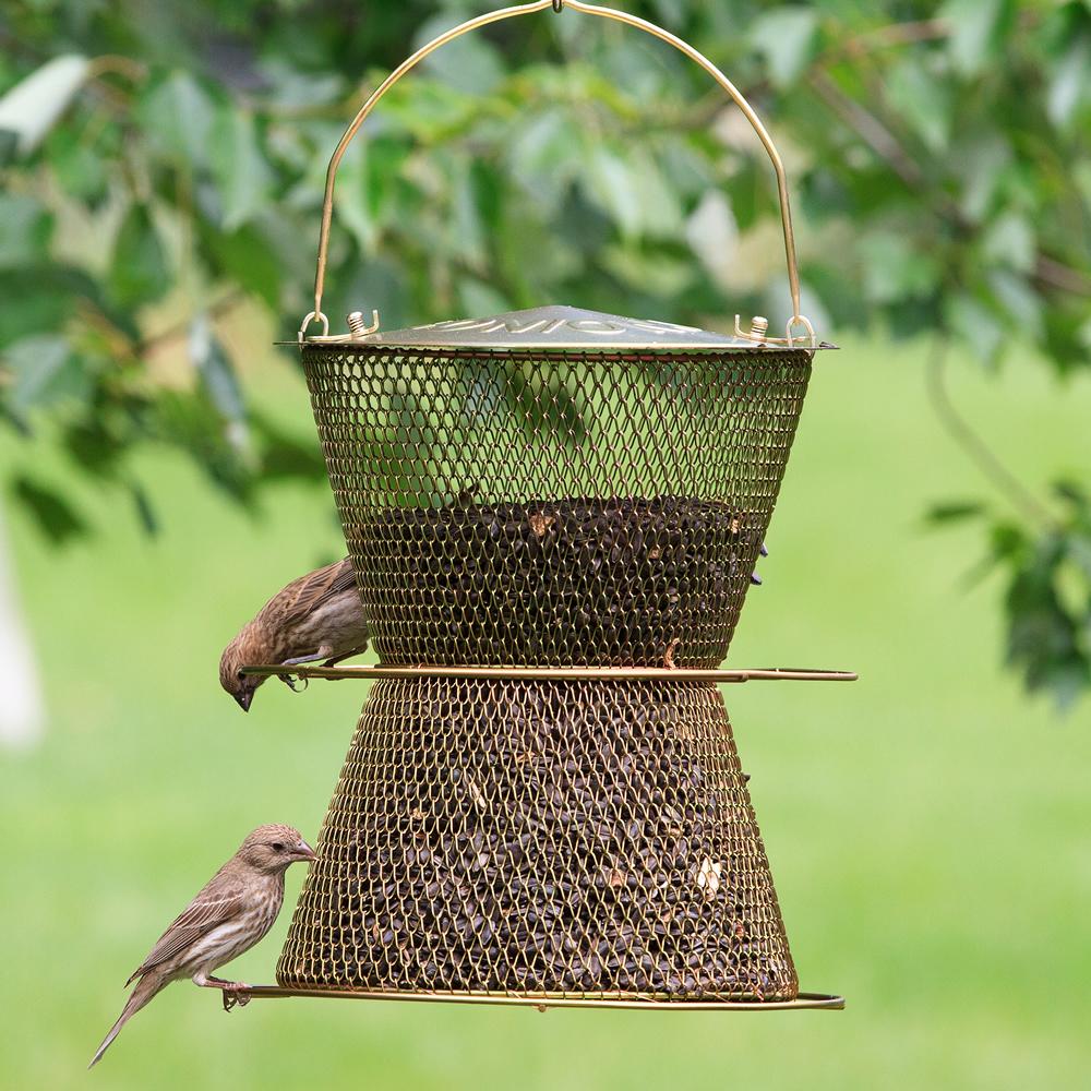 No/No Original Hourglass Bird Feeder HG00310 Wild Bird