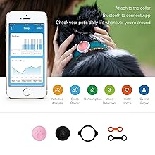 dog monitor with app