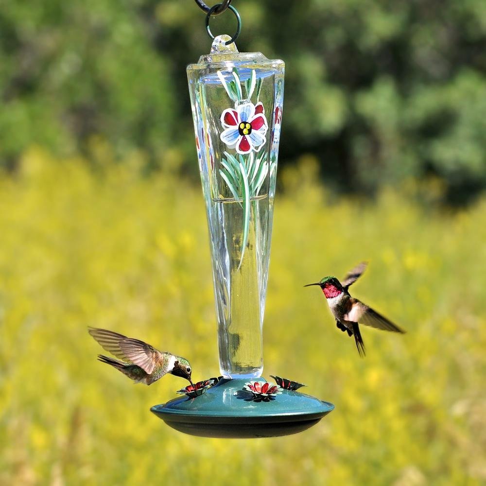 Birdscapes 81112 Violet Meadows 8Ounce Glass Hummingbird Feeder Garden & Outdoor