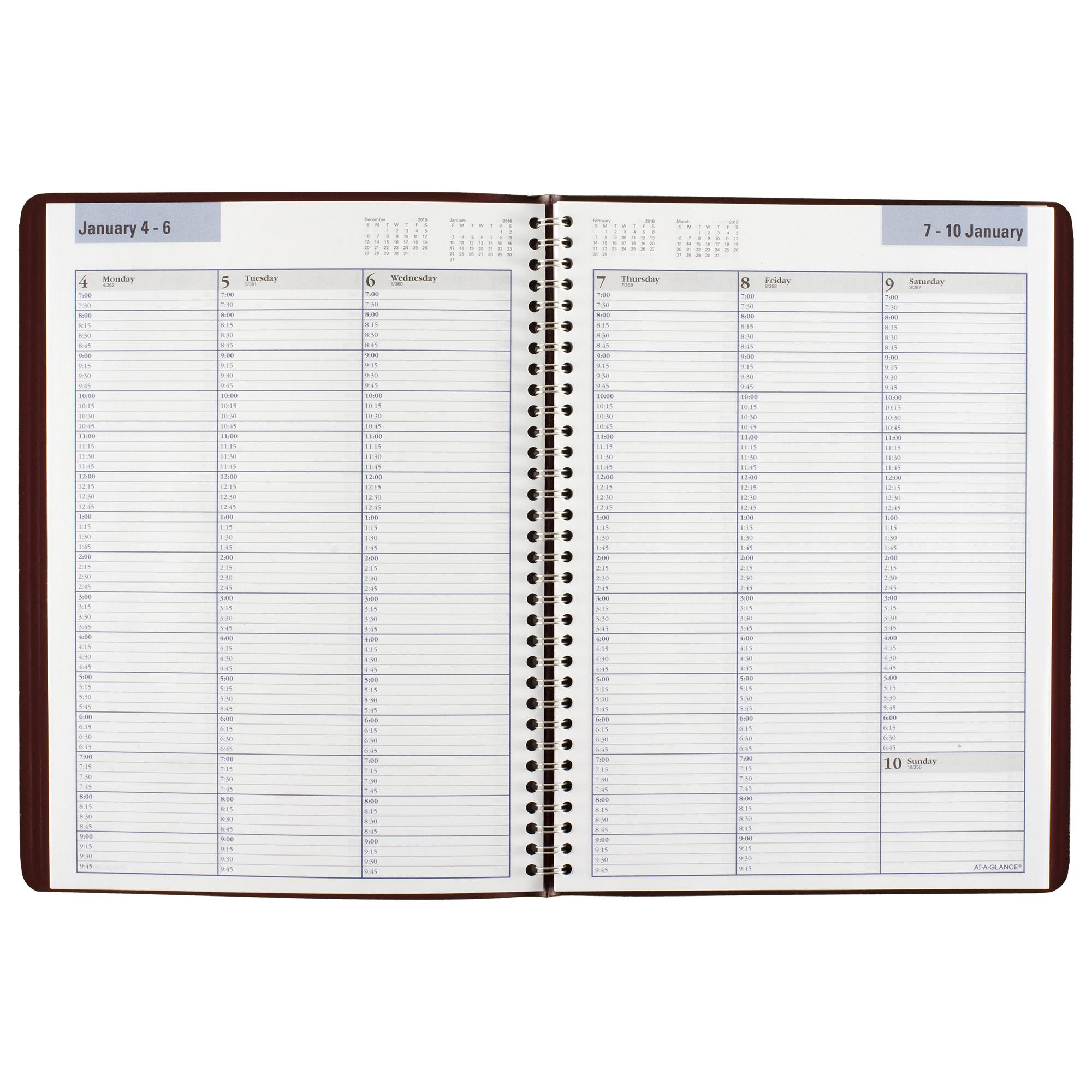 Amazon.com : DayMinder Weekly Appointment Book / Planner 2016, 8 x 11 ...