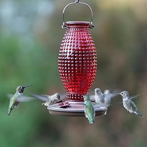 Amazon Com Perky Pet Red Hobnail Vintage Glass Hummingbird