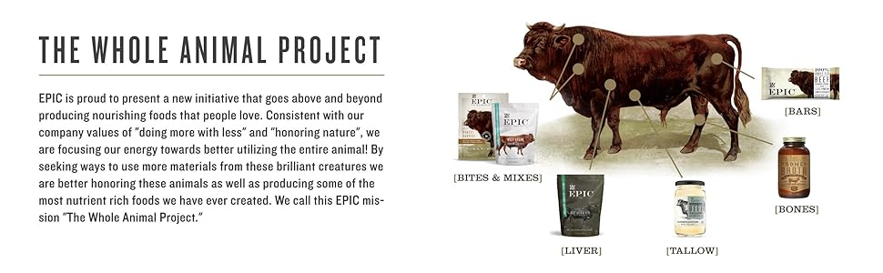 The Whole Animal Project