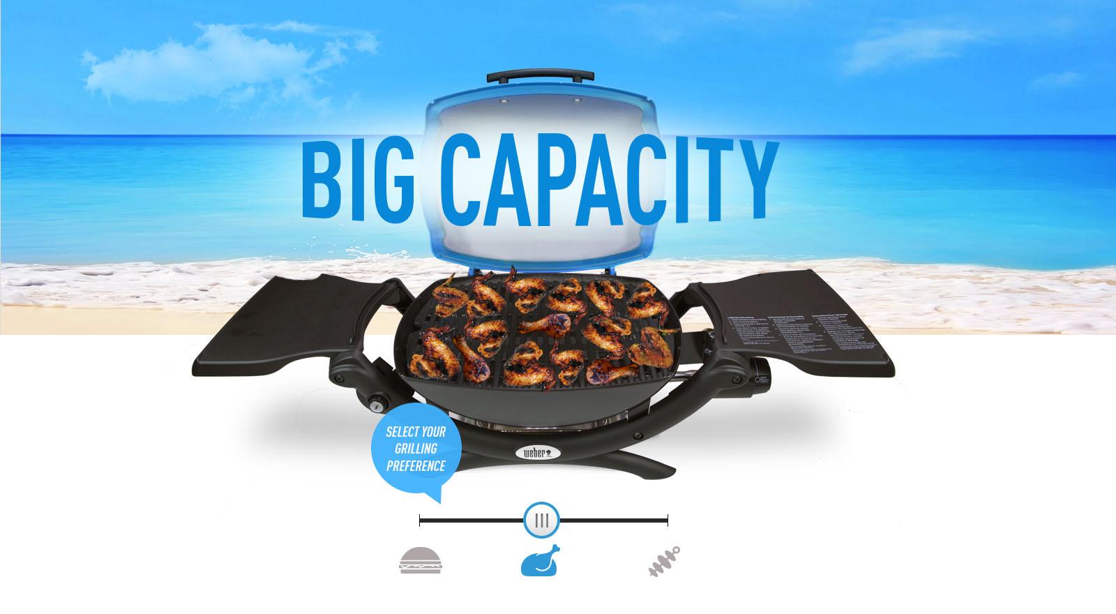 er Q 1200 Gas Grill LP Fuchsia Garden & Outdoor