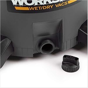 professional carpets paul