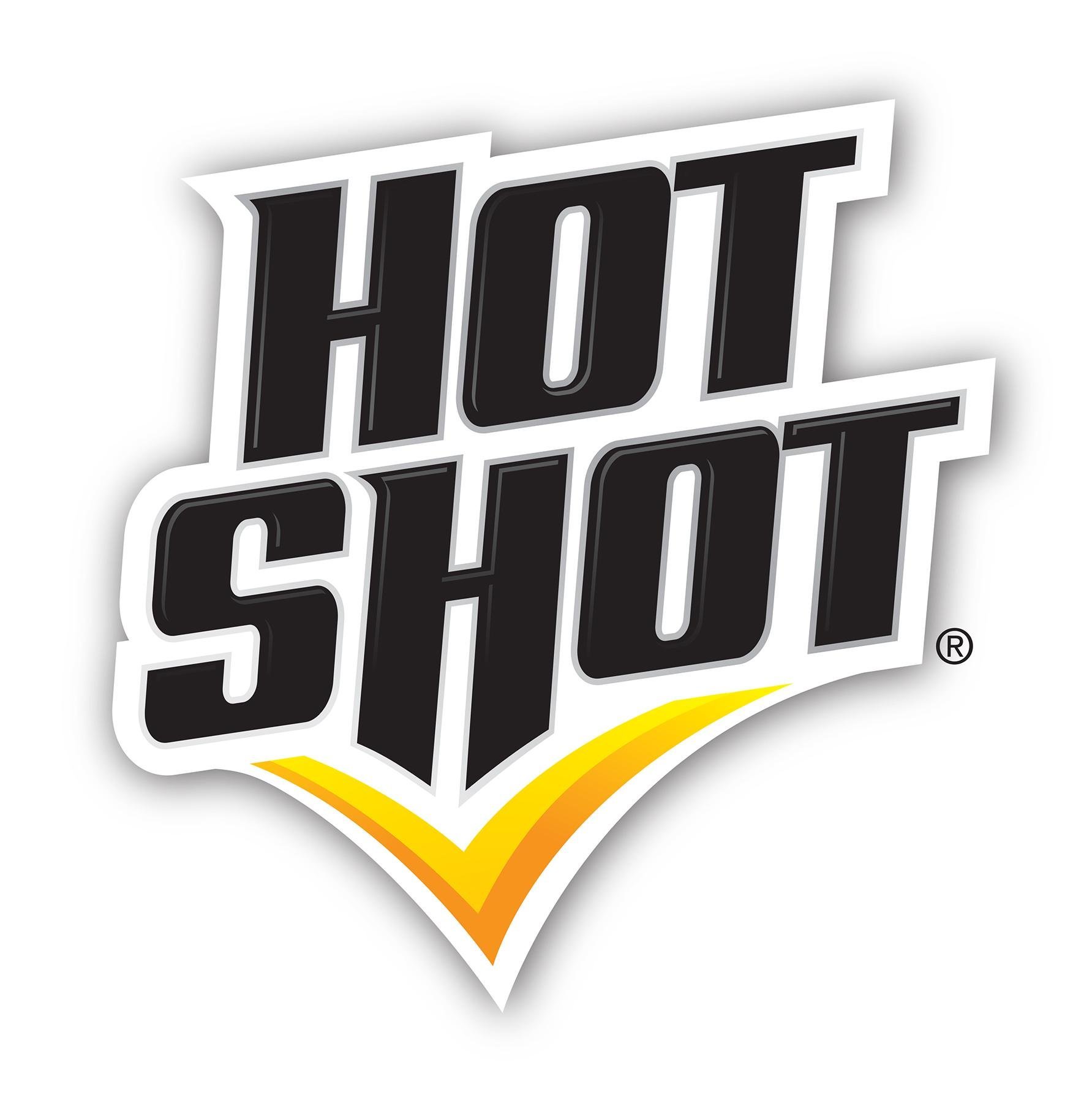 Amazon.com : Hot Shot 95911 Bedbug and Flea Fogger. : Hot ...