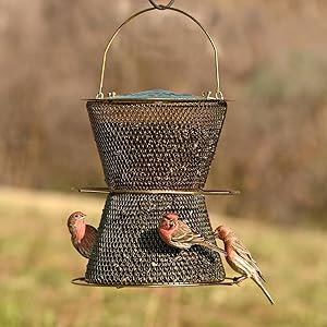 Amazon Com No No Original Hourglass Bird Feeder Hg00310 Wild