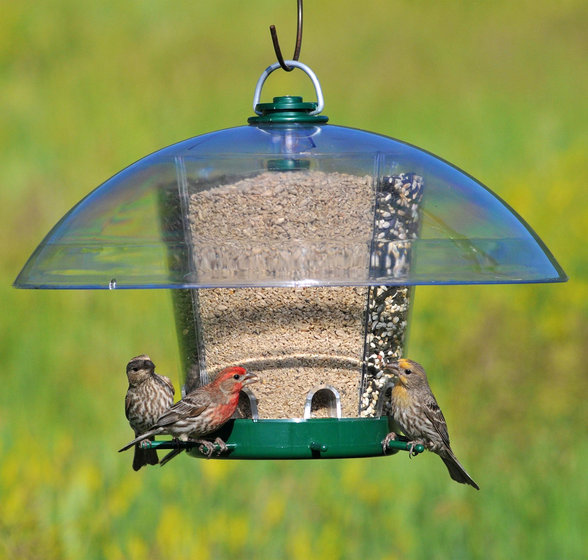 Woodstream Carousel Bird Feeder KFK350 Hang or Pole Mount 30604013502