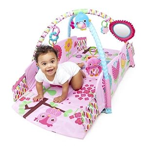 bright starts sunny safari baby's play place