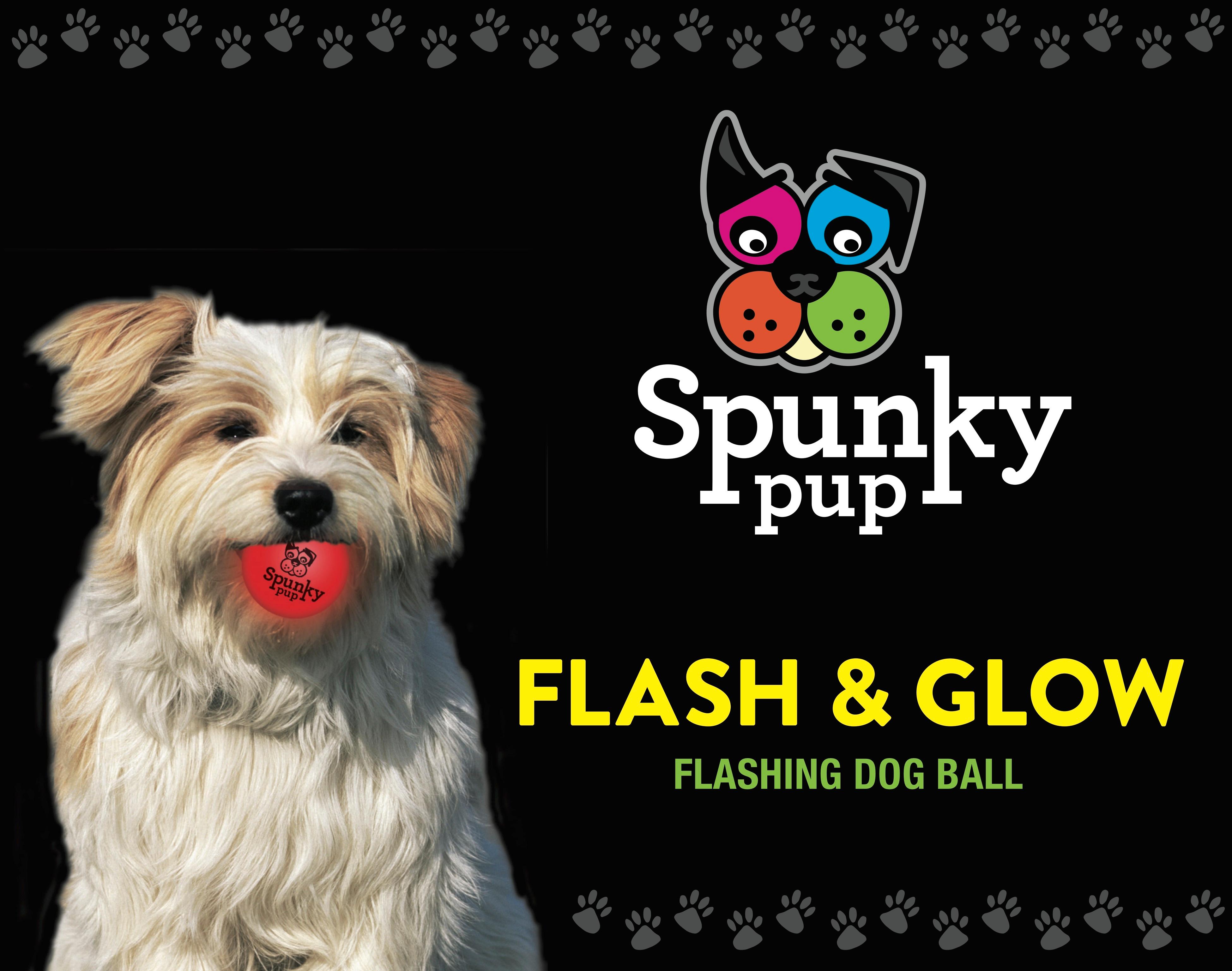 Flash & Glow, Flashing Glowing Dog Ball Pet Toy Balls