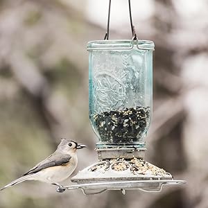 Amazon Com Perky Pet 784 Mason Jar Wild Bird Feeder Blue