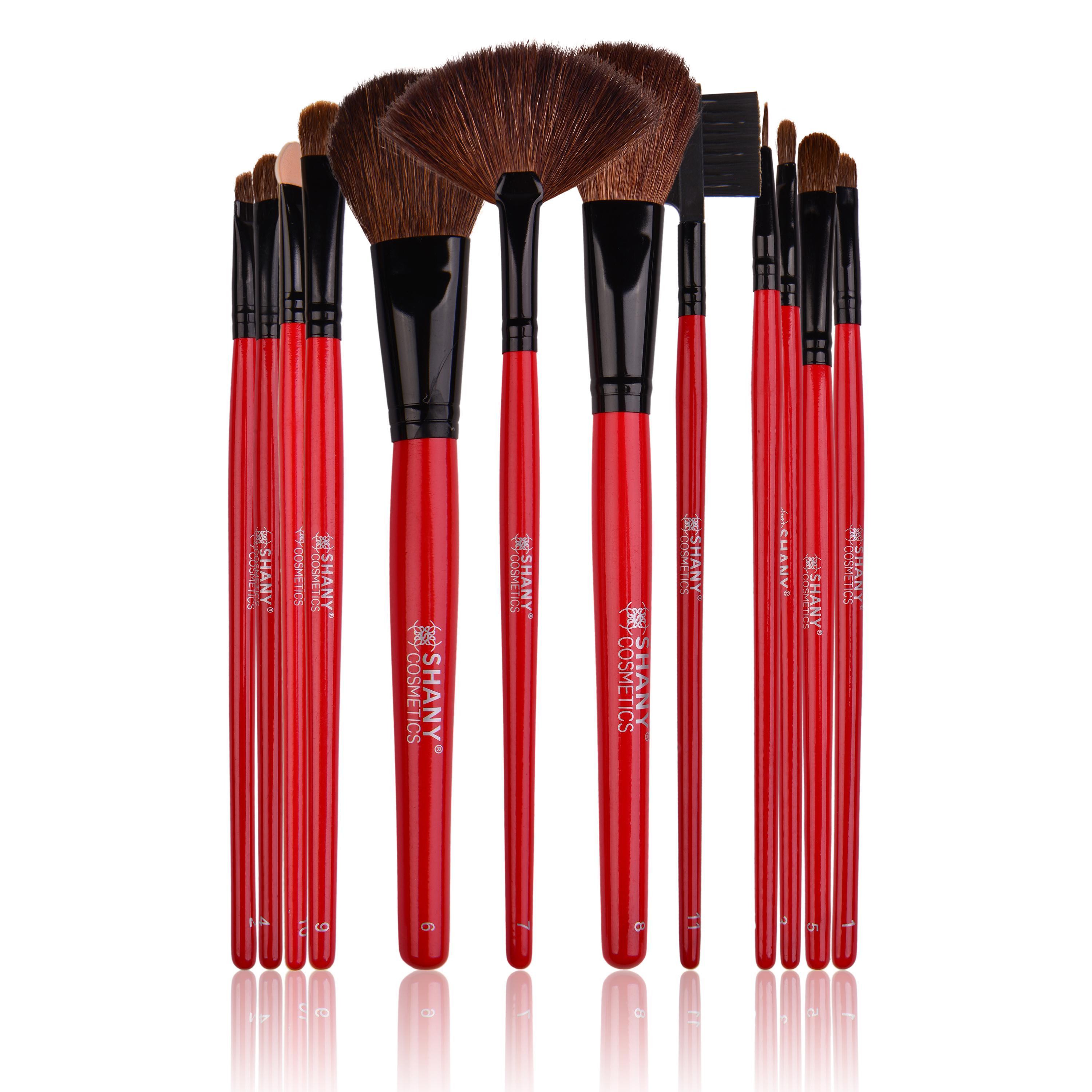 SHANY Professional 12 Piece Natural Goat and Badger