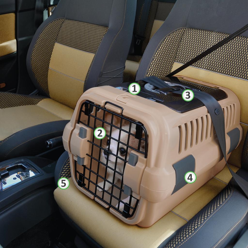 Richell 94914 Double Door Pet Carrier, Medium, Brown Pet