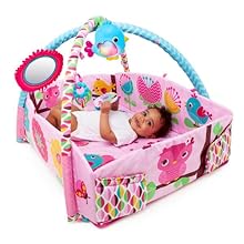 bright starts sunny safari baby's play place