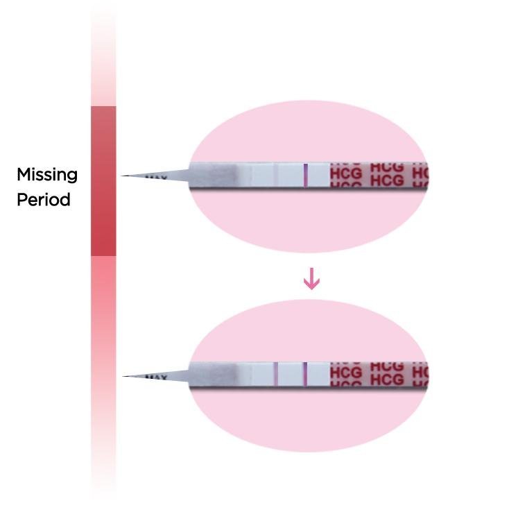 Negligee Hcg