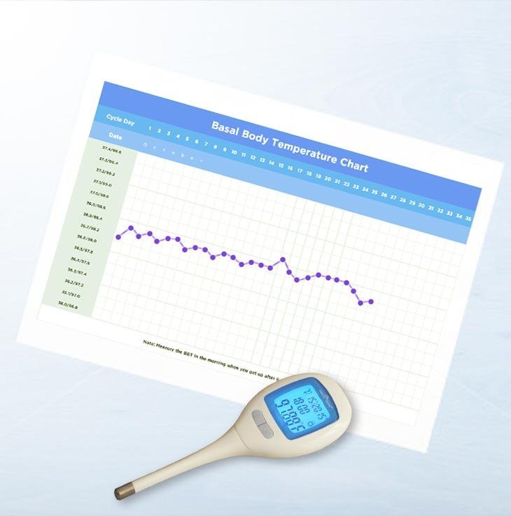 EasyHome Digital Oral Basal Thermometer with Large Backlit