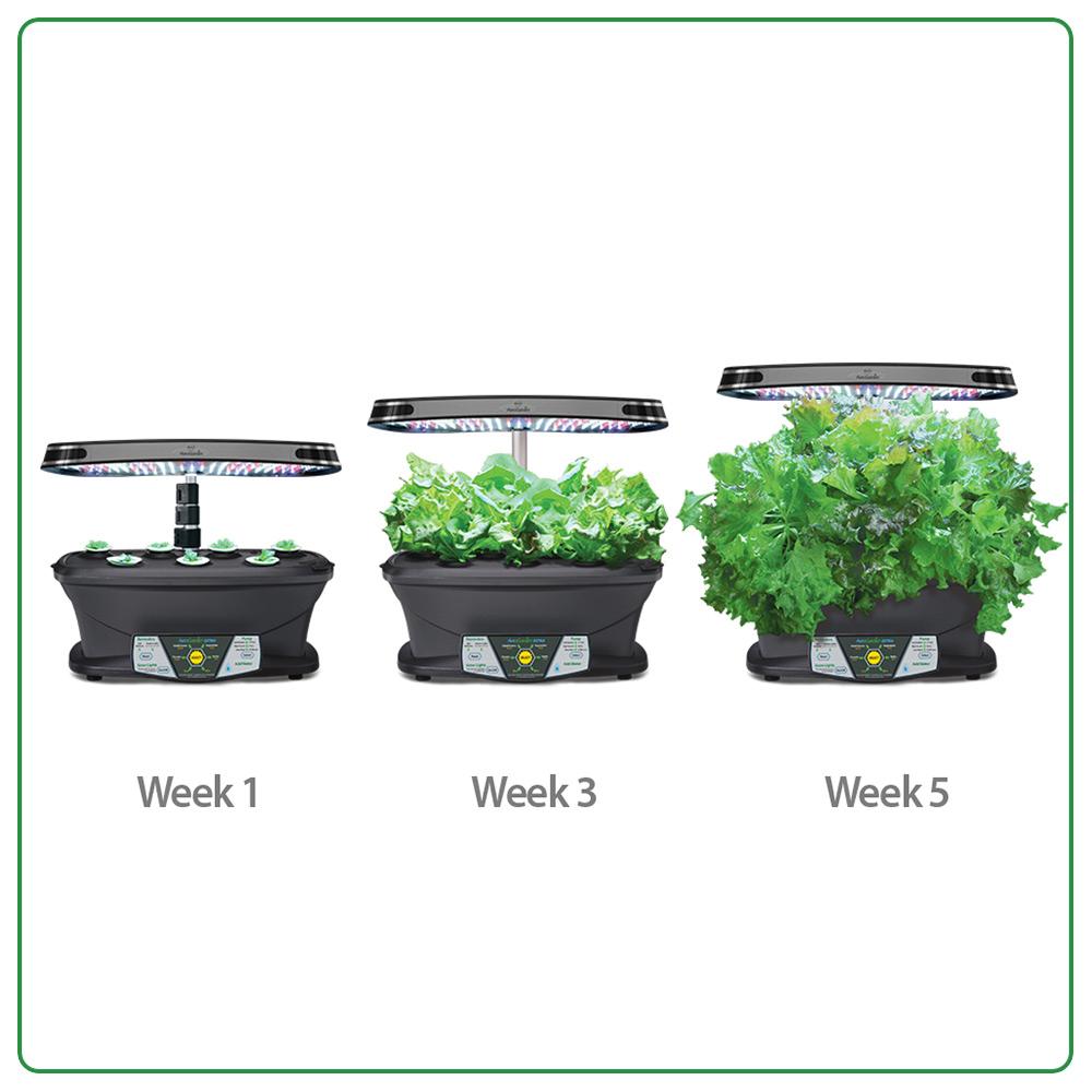 AeroGarden Extra (LED) with Gourmet Herb Seed Pod Kit