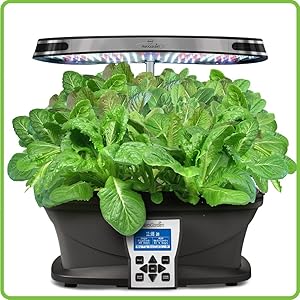 hydroponic tomatoes canada