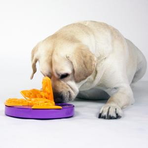 outward hound paw flapper