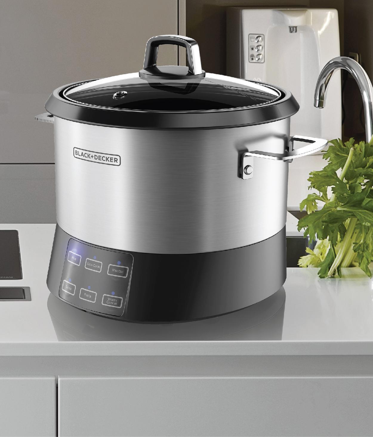 BLACK+DECKER RCR520S AllinOne Cooking Pot, 20Cup Cooked/10Cup Uncooked Rice