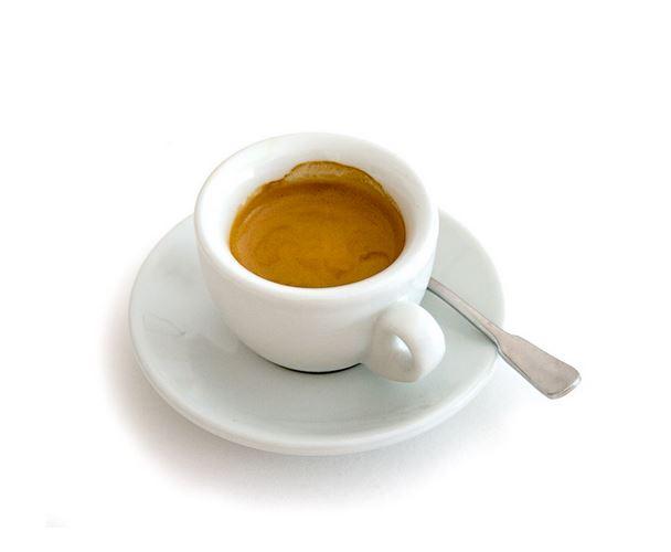 Capresso 303.01 4Cup Espresso and Cappuccino Machine Combination Coffee Espresso