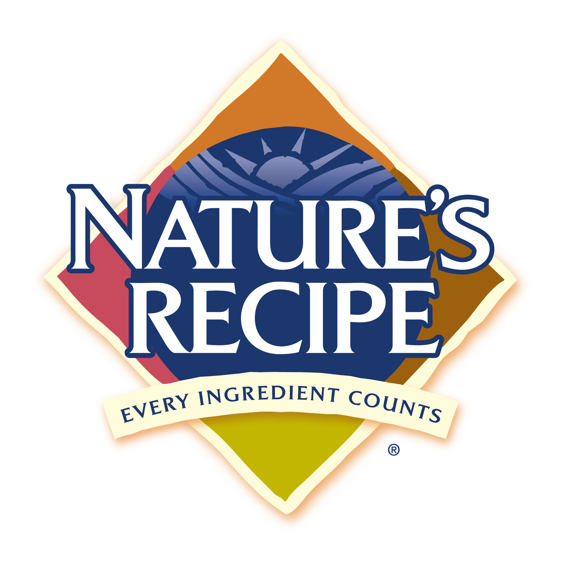 Amazon.com : Nature's Recipe Healthy Skin Wet Dog Food