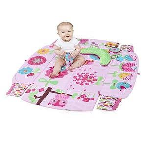 bright starts sunny safari baby's play place