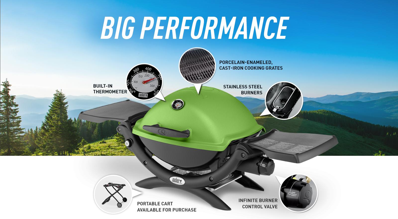 er Q 1200 Gas Grill LP Fuchsia Garden & Outdoor