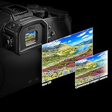 Large OLED Live View Finder