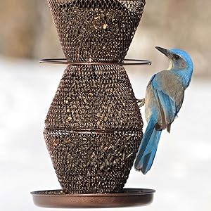Amazon Com No No Bronze Five Tier Bird Feeder Bz500333 Pet