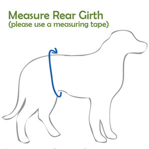 PlayaPup Measuring Instructions